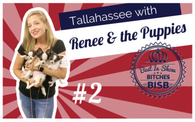 Playing at the Puppy Match at the Dog Show – Episode TWO