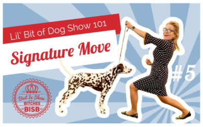 My Dog Show Signature Move – Episode FIVE