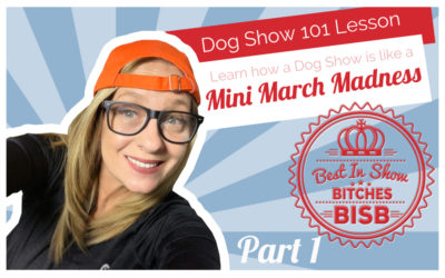Dog Show – 101 How a Dog Show Works – Episode Ten