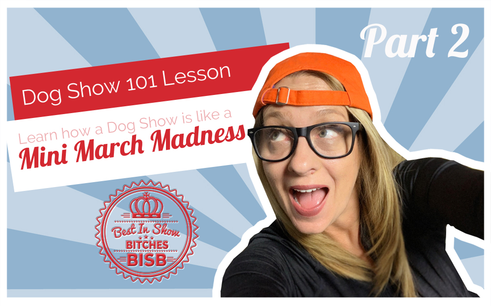 Dog Show – 101 How a Dog Show Works – PART 2 – Episode ELEVEN