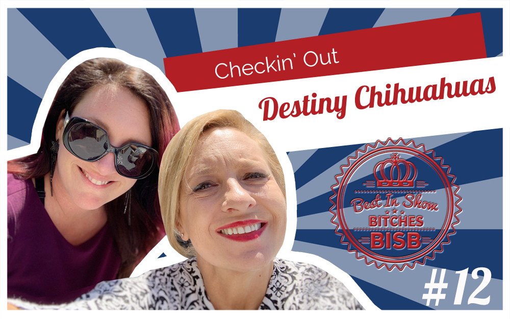 Touring the Home of Destiny Chihuahuas – Episode TWELVE