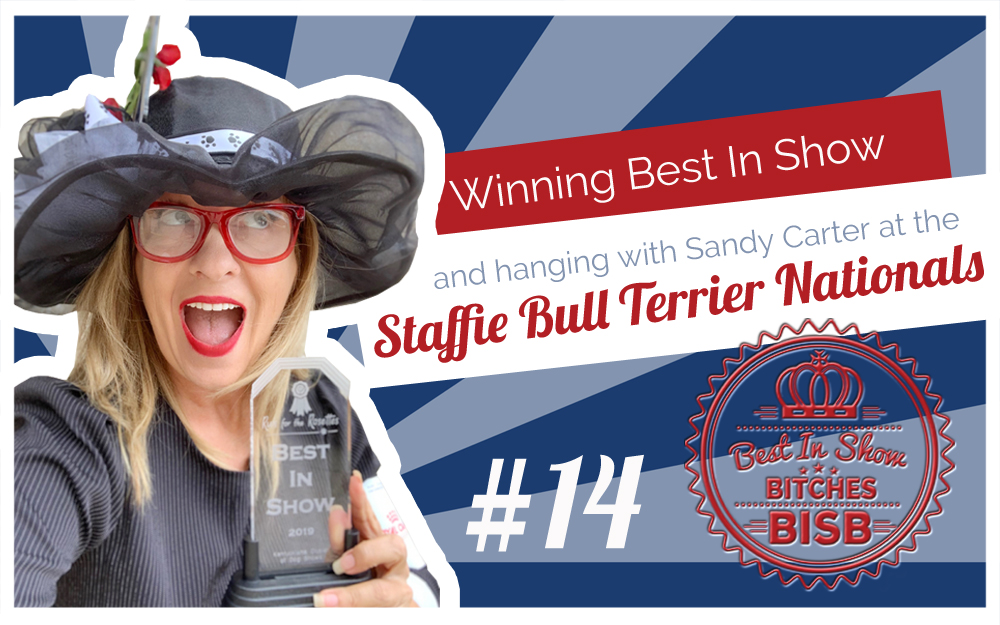 Staffordshire Bill Terriers National – Episode FOURTEEN