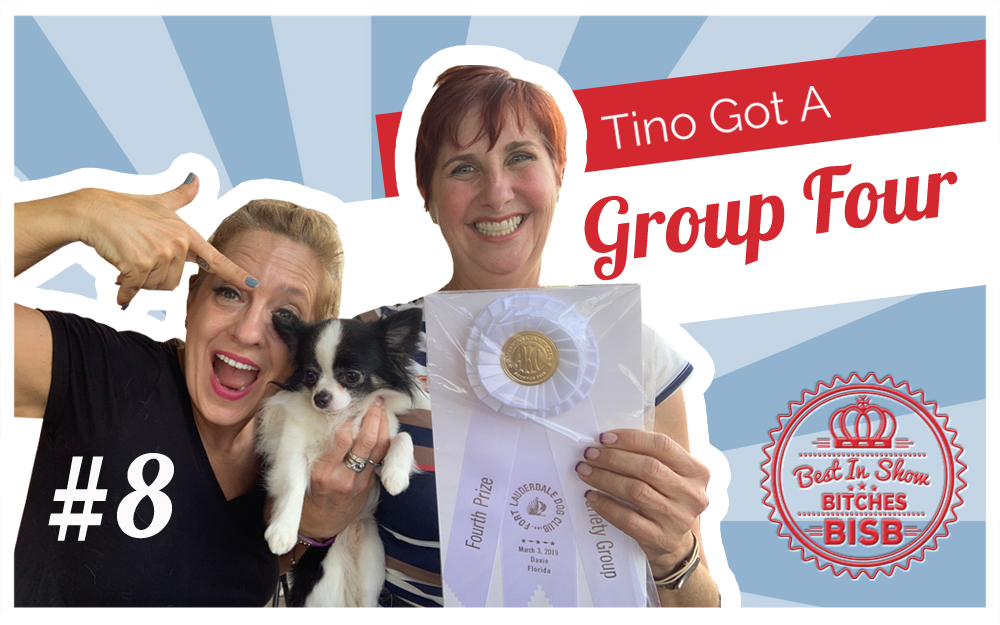 My Spoiled Show Dog Tino the Chihuahua – Episode EIGHT