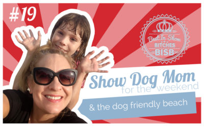 Show Dog Mom and The Dog Beach – Episode NINETEEN