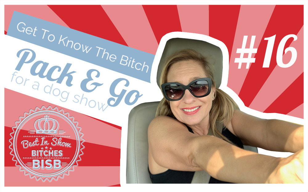 Pack and Go to a Dog Show – Episode SIXTEEN