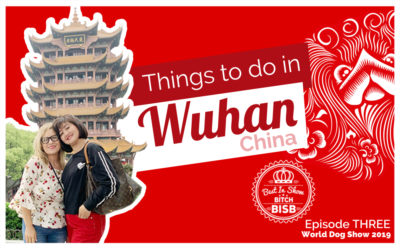 Things to do in Wuhan, China – Episode THREE