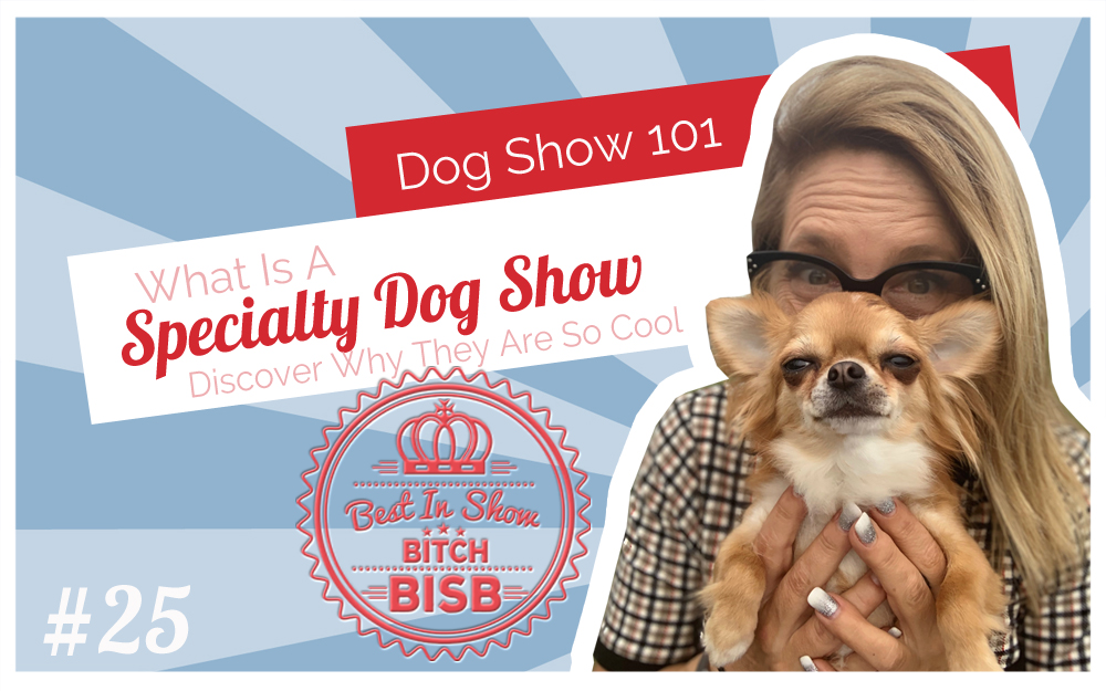 What is a Specialty Dog Show – Episode TWENTY-FIVE
