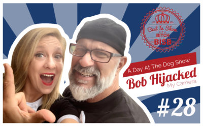 A Day At The Dog Show – Episode TWENTY-EIGHT