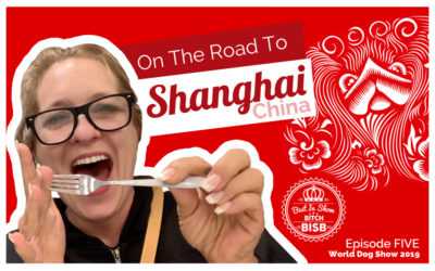 On the Road to Shanghai – Episode FIVE