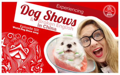 Dog Shows and Broken English – Episode SIX
