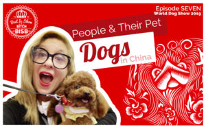 People and their Pets & Dogs in China - Episode SEVEN