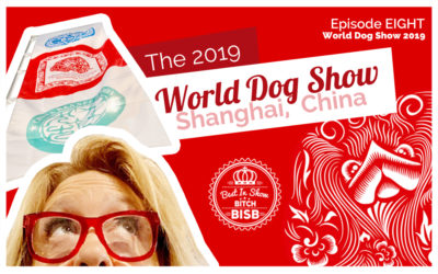 The World Dog Show – Episode EIGHT