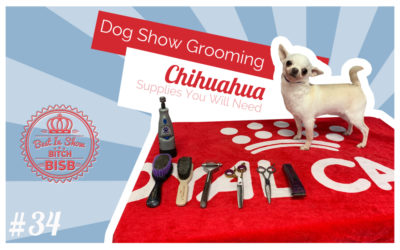 Dog Show Grooming: Chihuahuas EPISODE ONE