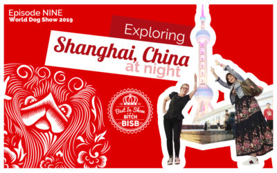 Exploring Shanghai  – Episode NINE