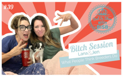 Bitch Session – What People Think Breeders Do