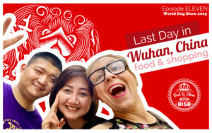Our Last Day in Wuhan China Travel VLOG