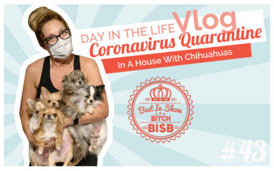 Day in The Life: Corona Quarantine with a House Full of Chihuahuas VLOG