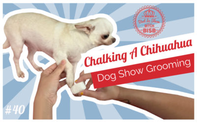 Dog Show Grooming – Chalking A Chihuahua