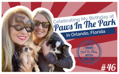Day In The Life: Celebrating My Birthday at Paws in the Park Orlando VLOG