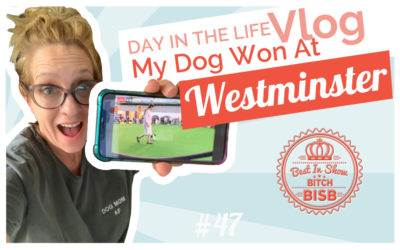 Day in The Life: My Dog Won at Westminster VLOG