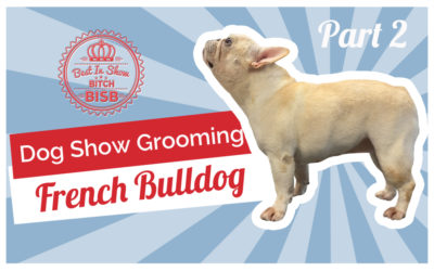 Dog Show Grooming: How To Groom a French Bulldog