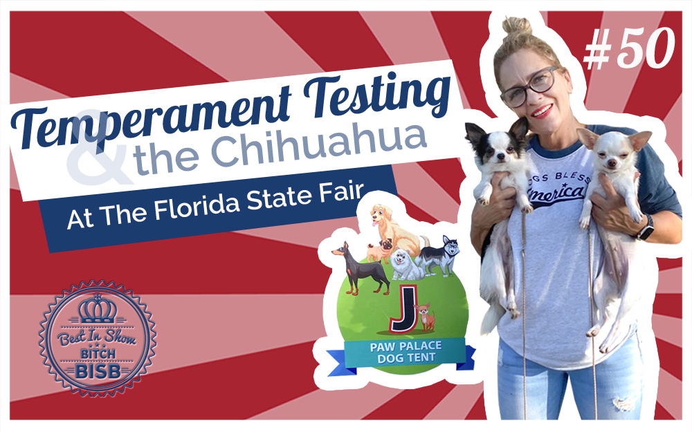 Temperament Testing and the Chihuahua