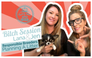Bitch Session: Responsible Dog Breeders - Planning a Litter