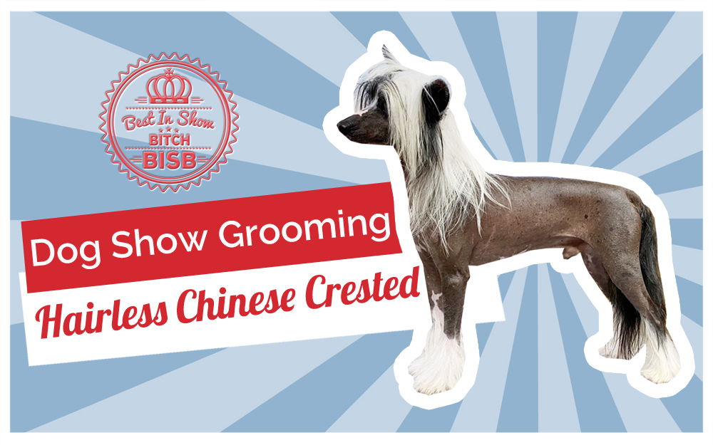 Dog Show Grooming: How To Groom a Hairless Chinese Crested