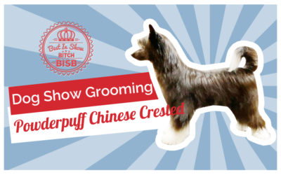 Dog Show Grooming: How To Groom a Powderpuff Chinese Crested