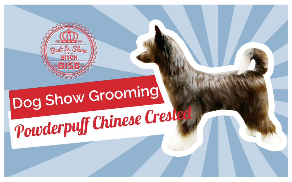 Dog Show Grooming: How To Groom a Powderpuff Chinese Crested