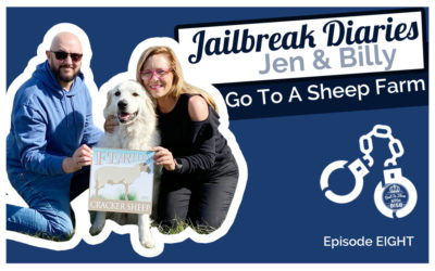 The Jailbreak Diaries: Going To A Sheep Farm
