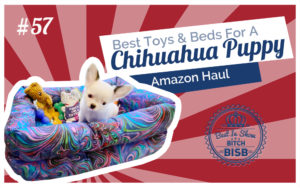 What are the Best Toys, Treats and Beds for Chihuahuas and Small Dogs - Puppy Haul
