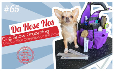 Show Ring Tips and Tricks – Dog’s Nose Discoloration