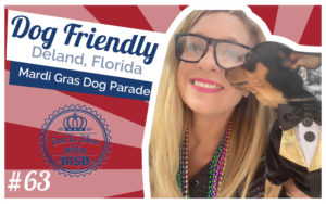 Dog Friendly Florida Events -  Dog Parade!