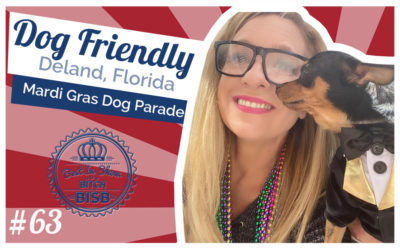 Dog Friendly Florida Events –  Dog Parade!