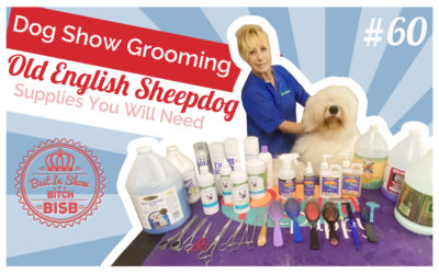 Dog Show Grooming: How To Groom an Old English Sheepdog and the Supplies You Need