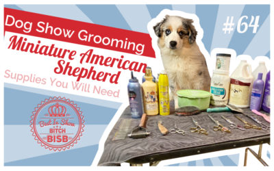 Dog Show Grooming: How To Groom a Miniature American Shepherd and the Supplies You Need