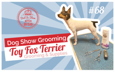 Dog Show Grooming: How To Groom a Toy Fox Terrier and the Supplies You Need