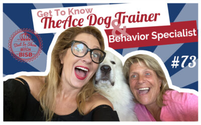 The Ace Dog Trainer – Dog Behavioral Specialist