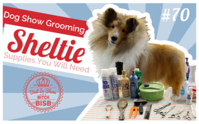 Dog Show Grooming: How to Groom a Sheltie & The Supplies You Need