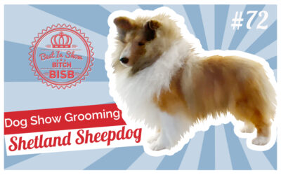 Dog Show Grooming: How to Groom a Shetland Sheepdog