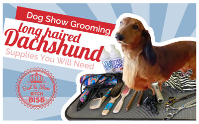 Dog Show Grooming: How to Groom a Long Haired Dachshund  & The Supplies You Need