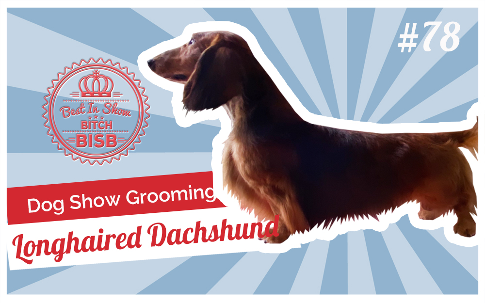 Dog Show Grooming: How to Groom a Long-haired Dachshund