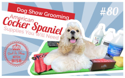 Dog Show Grooming: How to Groom an American Cocker Spaniel & The Supplies You Need