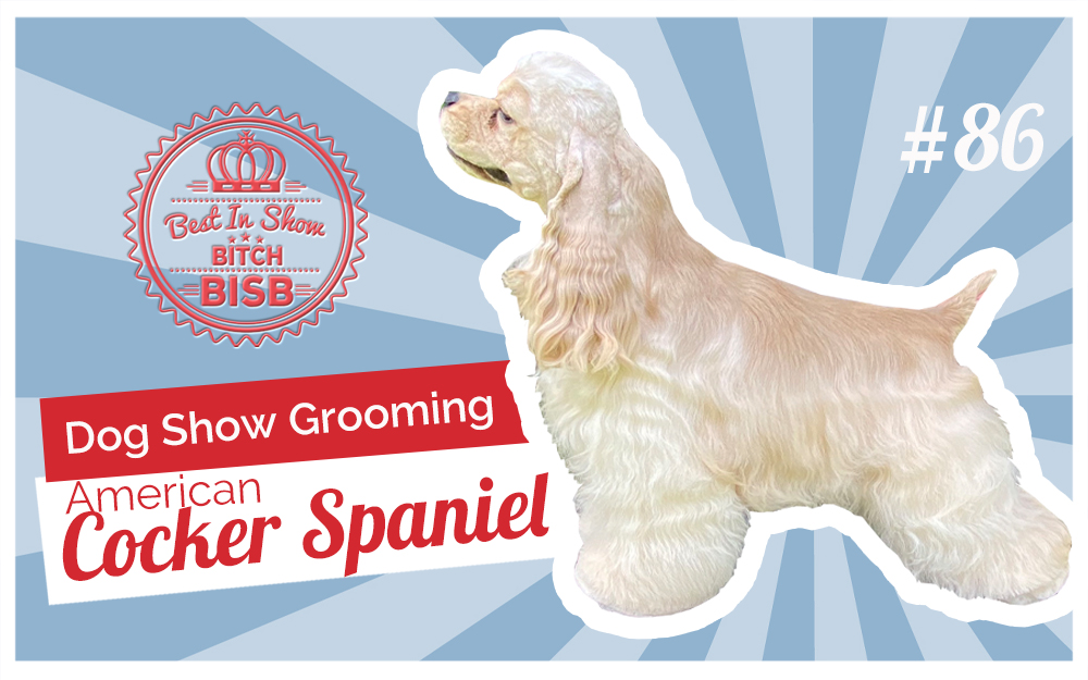 Dog Show Grooming: How to Groom an American Cocker Spaniel