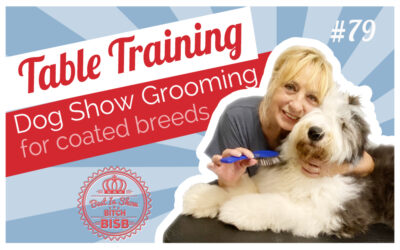 Table Training Coated Breed Puppies for Grooming