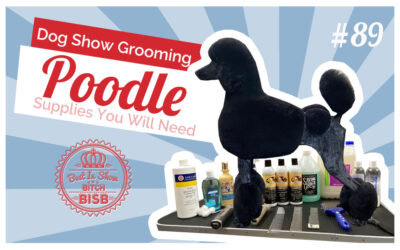 Dog Show Grooming: How to Groom a Poodle & The Supplies You Need