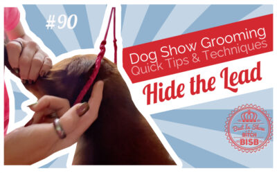 Dog Show Grooming: How to Bury the Collar