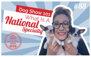 Dog Show 101 - What is a National Specialty Dog Show?