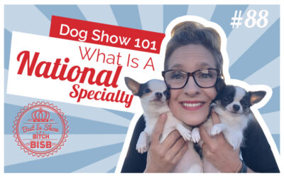 Dog Show 101 – What is a National Specialty Dog Show?